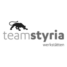 Logo Team Styria schwarz-weiß