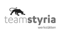 Logo Team Styria